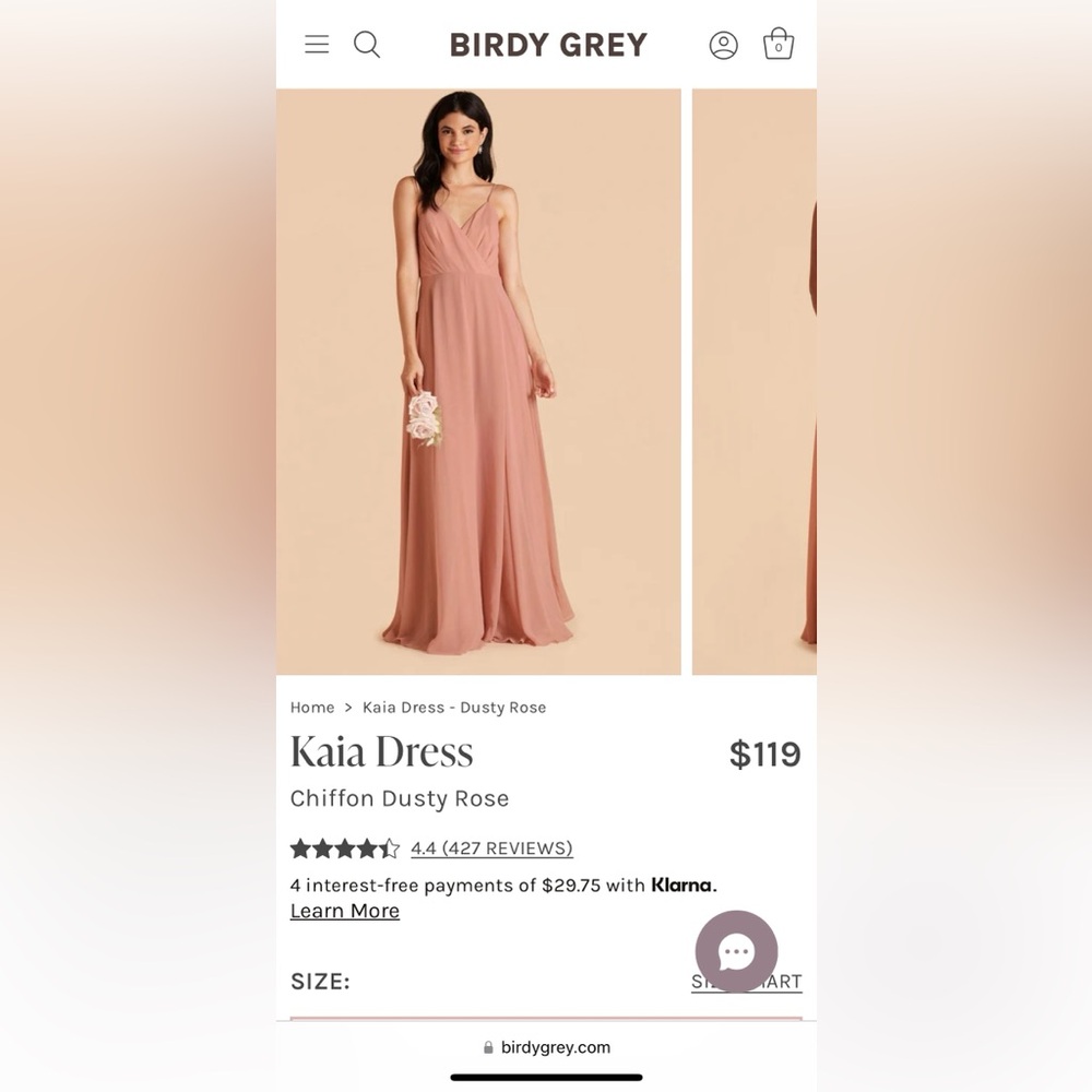 Birdy Grey - Kaia Bridesmaid Dress in Dusty Rose